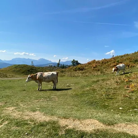 Haus Floriani, Appartement, Greifenburg, Karinthie * Greifenburg