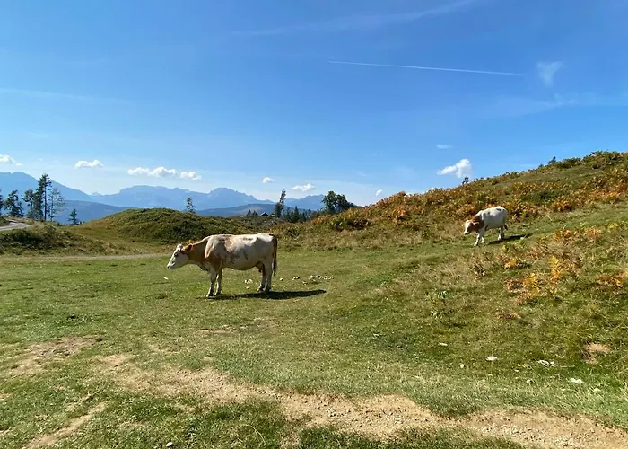 Haus Floriani, Appartement, Greifenburg, Karinthie * Greifenburg